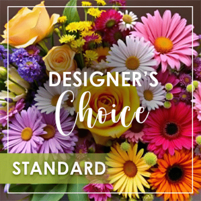 Designer's Choice